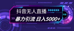 抖音无人直播，暴利引流，日入5000+-轻创网