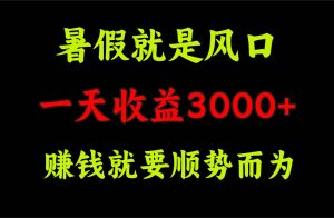一天收益3000+ 赚钱就是顺势而为，暑假就是风口-轻创网