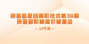 拼多多原创高阶技术第38期，拼多多阶梯提价破量法（14节课）-轻创网