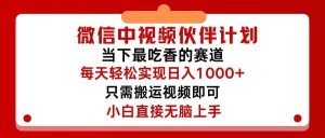 微信中视频伙伴计划，仅靠搬运就能轻松实现日入500+，关键操作还简单，...-轻创网