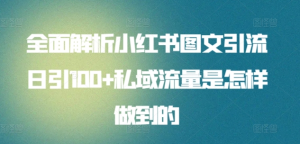 全面解析小红书图文引流日引100私域流量是怎样做到的-轻创网