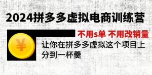 2024拼多多虚拟电商训练营 不s单 不改销量  做虚拟项目分一杯羹(更新10节)-轻创网