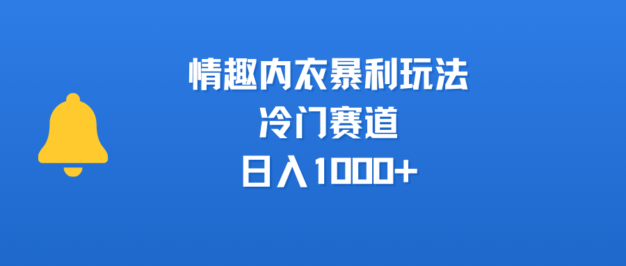 情趣内衣暴利玩法,冷门赛道,日入1000+-轻创网