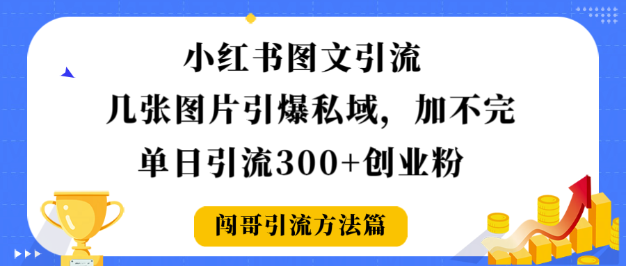 小红书图文引流,几张图片引爆私域加不完,单日引流300+创业粉-轻创网